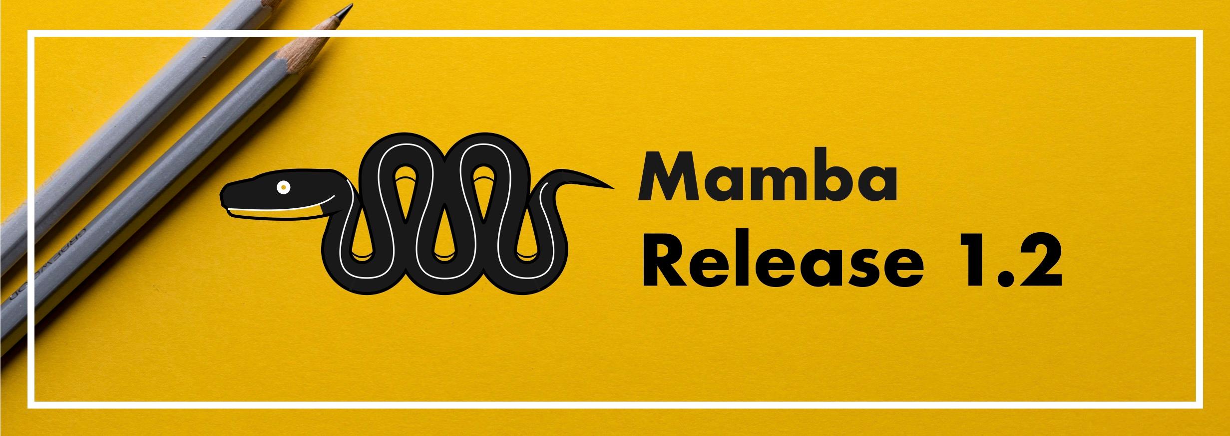 Cover image for Mamba 1.2 Release